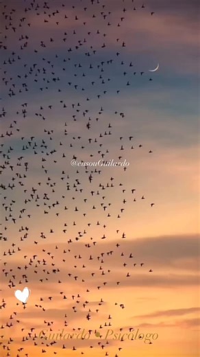 Fé e motivação ❤️ on Instagram: "Senhor Deus, Pai misericordioso, venho neste sábado pedir Tua presença viva junto a mim e aos que amo. Agradeço pelo dom de mais um dia, pela vida, pelo repouso e pelas pequenas alegrias que me sustentam. Enche meu coração de paz, guarda meus passos e renova minhas forças para que eu possa viver este dia com fé, esperança e amor. Senhor Jesus, guia minhas decisões, abençoa meu trabalho e meu descanso, e faz que eu saiba usar este tempo para cuidar do corpo, da me