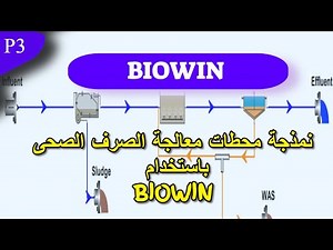 مقدمة عن نمذجة محطات معالجة الصرف الصحى باستخدام BIOWIN