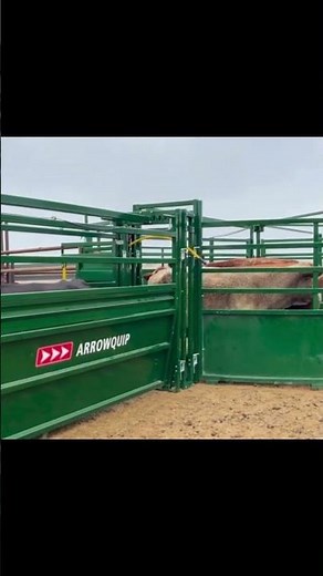 Effortless Cattle Flow | Buzbee | Arrowquip Cattle Chute, Alley & Tub