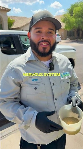 These Tiny Specks Keep Your Home Pest Free