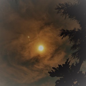 Laurie (Strange Things Happen) - Dickey Lee: Song Lyrics, Music Videos & Concerts