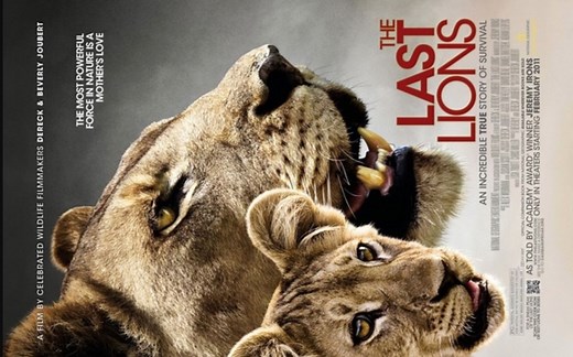 【国家地理频道】最后的狮子 双语字幕 The Last Lions (2011)