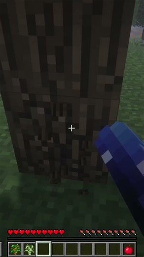 We Entered Wonderland.jar and… That’s It? 💀 | Minecraft