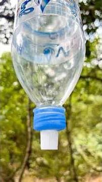 Toothpaste Hacks for Saving Water in the Wild