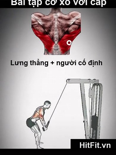 HitFit trên TikTok