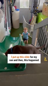 2.4M views · 33K reactions | It's so cute to see them playing together like this 殺 | Argo Pets | Facebook