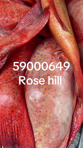 Seafood Addiction (@seafood.addiction)’s videos with original sound - Seafood Addiction