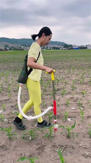 How to fertilize corn fields with a modern machine #shortvideo #farming #tools #youtubeshorts