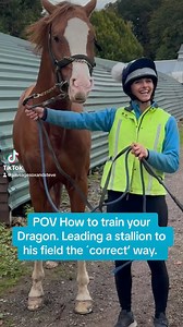 Doing as I’m told. 😆 Just for the giggles 🤭. #sox #horses #stallion #dragon #stud #stallions #showjumping #horsetrainingtips #karren | Tanya Tydeman