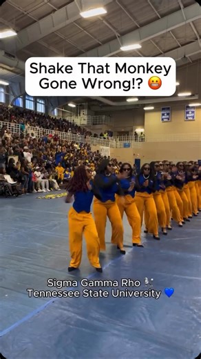 Greek's Finest on Instagram: "🐩 Pretty Poodles🐩 I love this!!! 🫶🏾 Credit: @jaydagreatofficial 🎥: [@jaydagreatofficial @biyghbcu] @sgrhoupdates @sexy_poodles #ΣΓP #SGRHO #Poodle #D9 #sigmagammarhosororityinc #sgrhoproud #sgrhoupdates #sigmagammarho #prettypoodles #sigma #sigmawoman #sgrho1922 #sgrhos #sgrho1922 #sgrho #womenofsgrho #sgrhotakeover #sgrho1922 #YourLsCouldNever #GreeksFinest #tennesseestateuniversity #sigmagammarho #probateseason #nashville #hbcu #tennstateu"