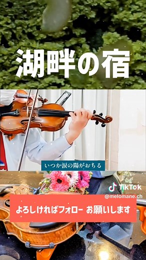 🌳湖畔の宿🌳 作詞・佐藤惣之助 作曲・服部良一 高峰三枝子さんの楽曲 #湖畔の宿 #服部良一 #高峰三枝子