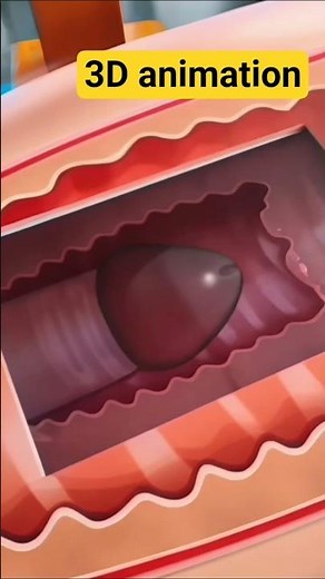 What Happens Inside the Female Body During Intercourse | Educational Medical Animation #doctor