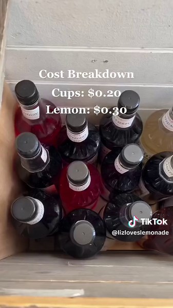 The original Lemonade Profit breakdown that started it all #lemonadebusiness #profitbreakdown #onthisday