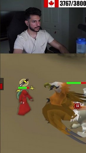 Where To Fight The Shellbane Gryphon!