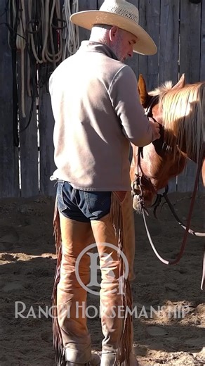 Using a Twisted Snaffle for Rooting Horses