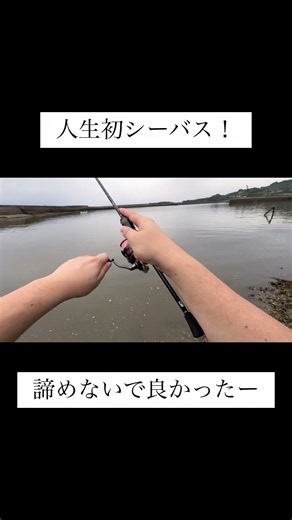 人生初シーバス！ #熊本釣り #釣り初心者 #人生初シーバス #熊本シーバス