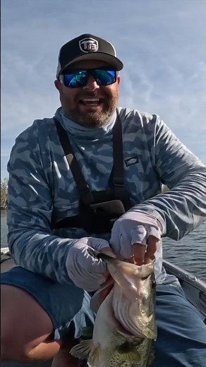 Is The Senko Still The King Of Bass Fishing? 🤔