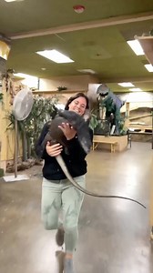 53K views · 7.9K reactions | Ready…Set..GO!  With this big guy...