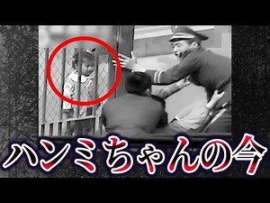 [Yukkuri Commentary] What happened after the Han Mi-chan incident…
