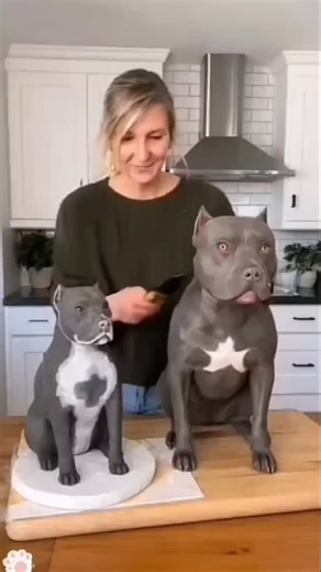 @presendwild22 on Instagram: "Japan is turning footsteps into electricity using piezoelectric tiles. Every step creates a small amount of energy, and millions of steps together power LED lights and digital systems-supporting a more sustainable urban future. 🌳 #Japan #FutureTechnology #RenewableEnergy #SmartCity #Innovation forestry 🌿"