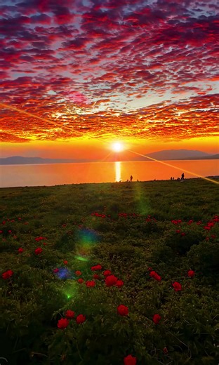Let the sunset heal your day✨ #sunset #fyp #viral | Sunset Videos