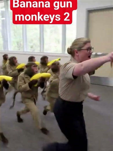 banana gun monkeys 2 #funny