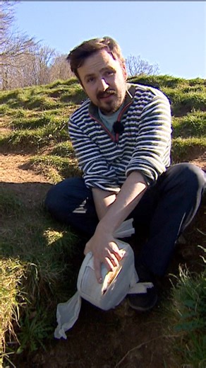 4.4K views · 25 reactions | Cheese rolling, county council elections, it's all happening in Gloucestershire in May! But how GOUDA is it looking for the parties? 燎  More details ➡️ bbc.in/4cKJ3Ue | BBC Gloucestershire | Facebook