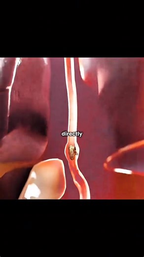 She Drank the ‘Smoking’ Cocktail… Then Her Stomach EXPLODED#StoryTime #TrueStory #SafetyWarning #neverforget | knowledge facts