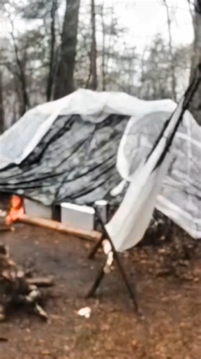 MrBeast Survives the Ultimate Forest Shelter Challenge! 🌲🔥