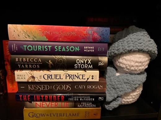 Read Moore on Instagram: "Word Stack! STOCKING Just wanted to have a little fun with a word book stack🥰 Little mix of fantasy, thrillers and dark romance. All being highly recommended!! S-A Sea of Song and Sirens- @whitstanfieldauthor T- Tourist Season- Brynne Weaver O-Onyx Storm-Rebecca Yarros C- the Cruel Prince- Holly Black K- Kissed by the Gods- @catyrogan I- the Intruder- Freida McFadden N-Never Lie-Freida McFadden G- Glow of the Everflame- Penn Cole #bookstagram #bookstack #holidaystack #