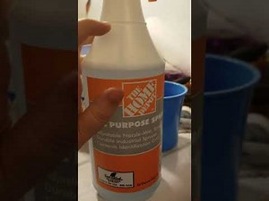 Homemade Clorox Cleanup