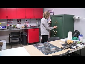 Gun shops join Wisconsin program working to help veterans put guns down