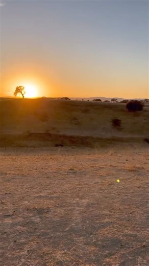 6.2K views · 63 reactions | Do not miss out on our equine photography...