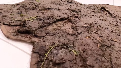 ASMR de Limpieza de Alfombra Sucia