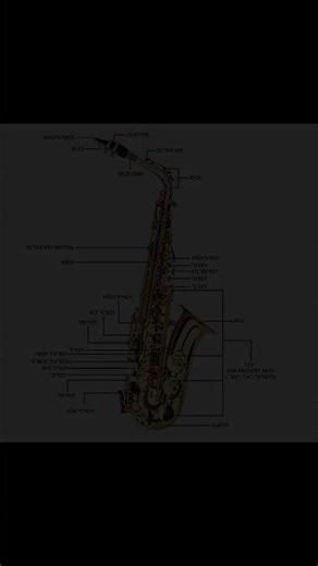 Explore the Kcelarec Alto Eb E-flat Saxophone!