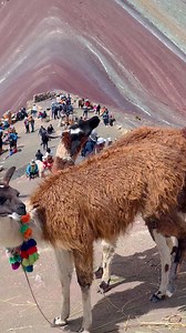 📍Montaña de Colores, un paraíso en las montañas. 🇵🇪 | Andean Peru Exploor