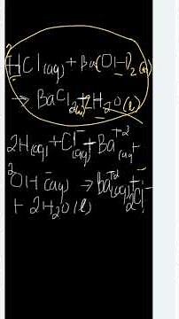 CHEMISTRY: WRITE THE NET IONIC EQUATION