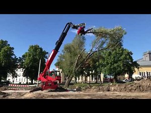 Manitou MRT2550 and Mecanil SG280 treefelling Estonia- ArborEst OÜ