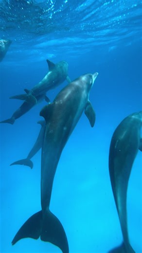 Exploring Zanzibar: Your Ultimate Travel Guide