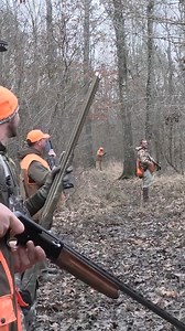 Nose on the ground!! #hunting #gopro #rabbit #rabbithunting #beagle #gps #dog #chasing #outdoors | Cpacify Maris