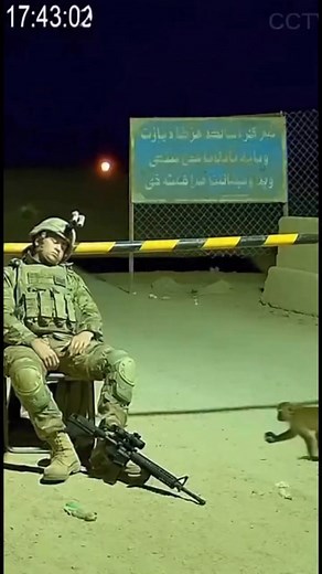 10K views · 29 reactions | A cheeky monkey trolling a soldier — this ultra funny moment went viral  #funny #monkey #viralvideo #lol #prank #fyp #comedy | 2:00 AM | Facebook