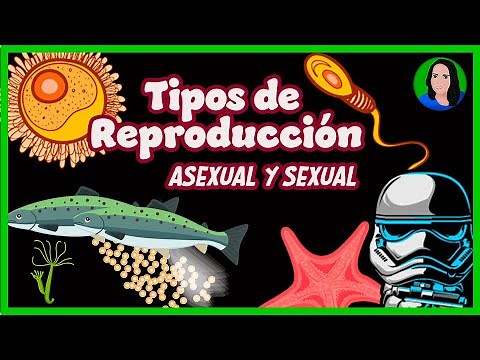 Reproduction | asexual and sexual | Biology