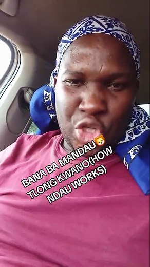 Bana Ba Mandau: How Ndau Works and Communicates