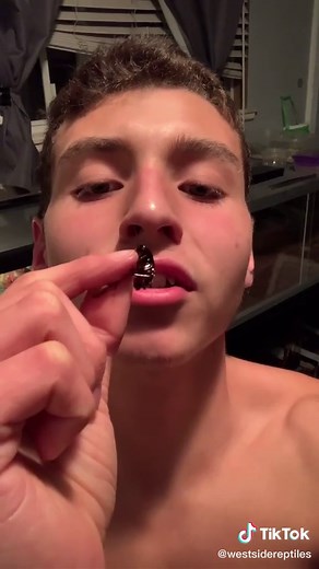 Exploring the World of Goop and Australian Green Tree Frogs