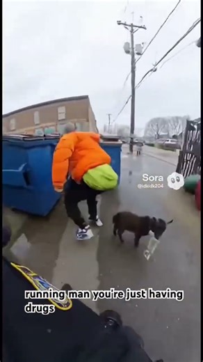 A fun cop chase #police #simpons #stealabrainrot