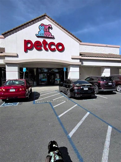 Compras para Mi Perro y Visita a la Barbería