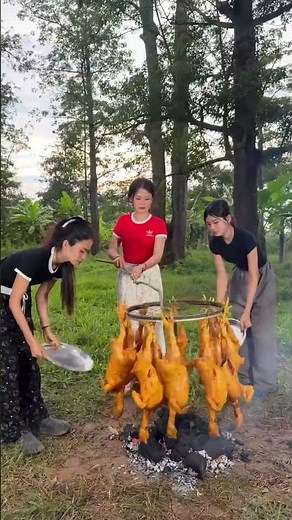 How Chinese Girls Cook Chicken in the Forest | Unique Picnic Cooking Style