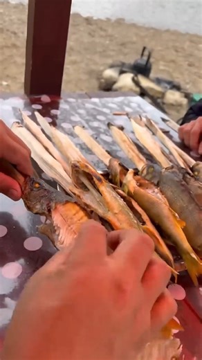 20K views · 525 reactions | Fishing Cooking perch on the fire #Pandasakha | Pandasakha | Facebook