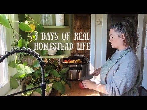 So Many Projects, So Little Time | Real Life Homestead Kitchen Days