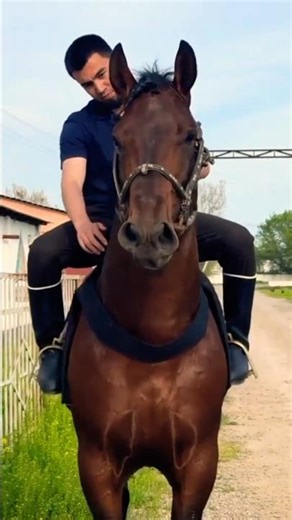 Boy's Incredible Moment With His Horse #HorseRiding #BeautifulHorse